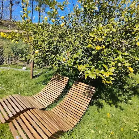 בית נופש Casa Limon