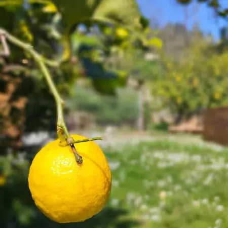 בית נופש Casa Limon *