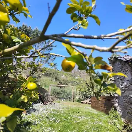 בית נופש Casa Limon Cervo (Lugo)